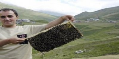 Anzer balının kilosu 650 lira