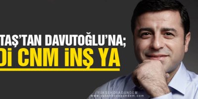 Demirtaş'tan Davutoğlu'na: Hadi cnm inş ya!
