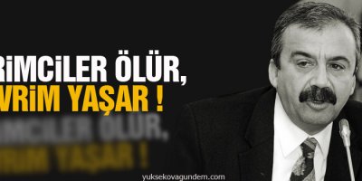 Sırrı Süreyya Önder: Devrimciler ölür, devrim yaşar