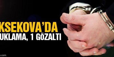 Yüksekova'da 2 tutuklama 1 gözaltı