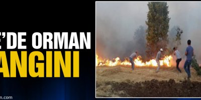 Orman yangını: Halk seferber olup söndürdü