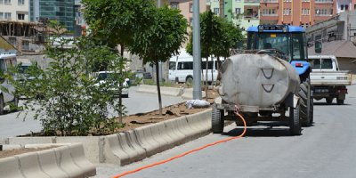 Hakkari'de Ağaçlar için sulama çalışması başlatıldı