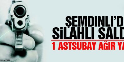 Şemdinli'de silahlı saldırı