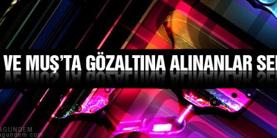 Bitlis ve Muş’ta gözaltına alınanlar serbest