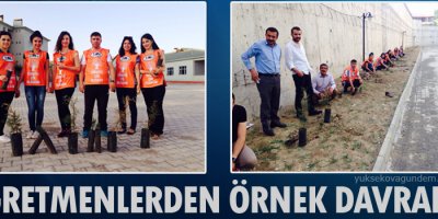 Öğretmenler 200 Fidan Dikti