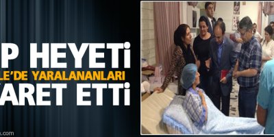 HDP heyeti Zergele’de yaralananları ziyaret etti