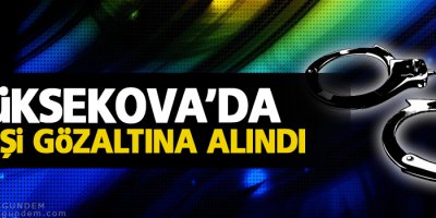 Yüksekova'da 52 gözaltı