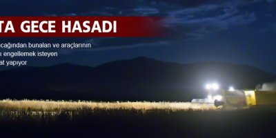 Sıcakta gece hasadı