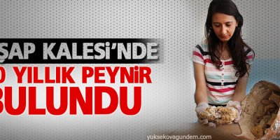 Hoşap Kalesi'nde '250 yıllık peynir' bulundu