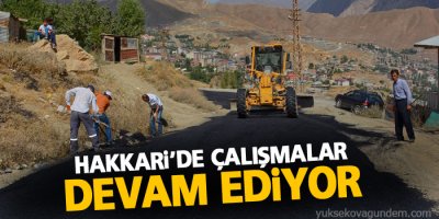 Hakkari'de yol onarım çalışmaları devam ediyor
