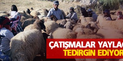 Şemdinli'li yaylacı, 'Herkesin umudu ve beklentisi barıştır'