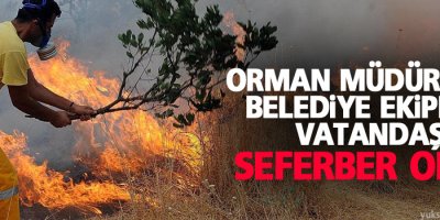 Bingöl'de orman yangını