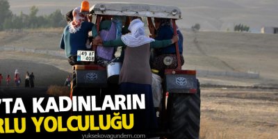 Muş'ta kadınların zorlu yolculuğu