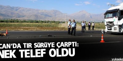 Erzincan'da tır sürüye çarptı: 2 inek telef oldu
