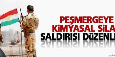 Peşmergeye kimyasal silah saldırısı düzenlendi