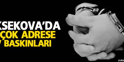 Yüksekova'da Birçok adrese ev baskınları