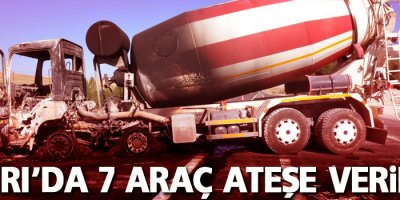 Ağrı'da 7 Araç ateşe verildi
