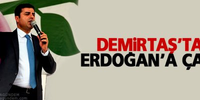 Demirtaş'tan Erdoğan'a çağrı