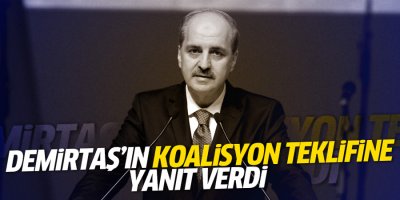 Demirtaş’ın ‘başkanlık referandumu’ önerisine yanıt