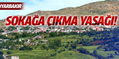 Diyarbakır Lice'de sokağa çıkma yasağı
