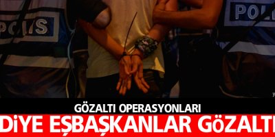 Gözaltı operasyonları, Belediye Eşbaşkanları gözaltında