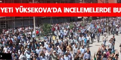 HDP heyeti Yüksekova'da inceleme'de bulundu