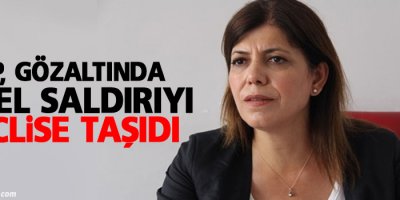 HDP, gözaltında cinsel saldırıyı meclise taşıdı