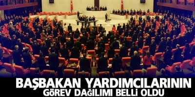Başbakan yardımcılarının görev dağılımı belli oldu