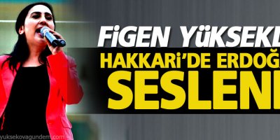 Yüksekdağ Hakkari'de Erdoğan'a seslendi