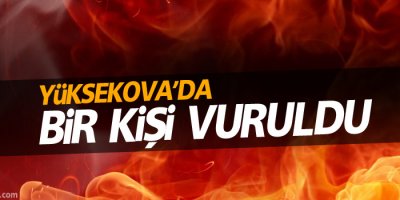 Yüksekova'da bir kişi vuruldu