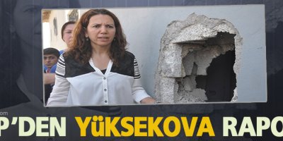 HDP'den Yüksekova raporu