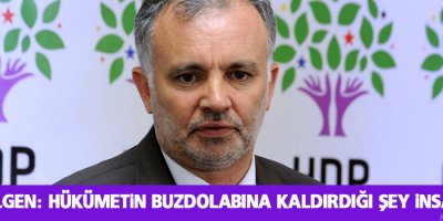 HDP'li Bilgen: Hükümetin buzdolabına kaldırdığı şey insan hakkı
