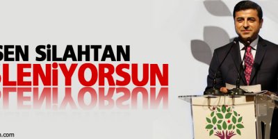 Demirtaş: Sen silahtan besleniyorsun