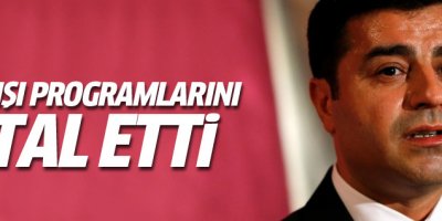 Demirtaş yurtdışı programını iptal etti
