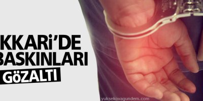 Hakkari'de 2 gözaltı