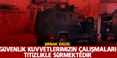 Güvenlik kuvvetlerimizin çalışmaları titizlikle sürmektedir