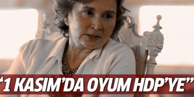 Ilıcak: 1 Kasım'da oyum HDP'ye