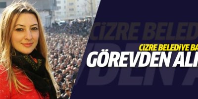 Cizre Eşbaşkanı İmret görevden alındı