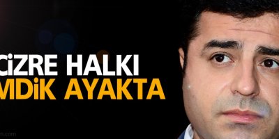 Cizre acılarıyla birlikte ayakta, katleden zihniyet neyi bitirdiniz