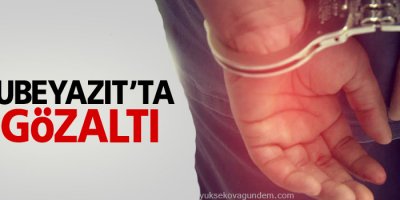 Doğubayazıt'ta 25 gözaltı