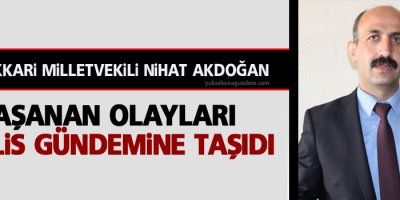 HDP'li Akdoğan, Cizre'de ki ölümleri meclis gündemine taşıdı