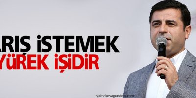 Demirtaş: Barış istemek yürek işidir
