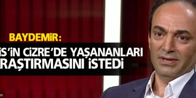 Baydemir, Meclis’in Cizre’de yaşananları araştırmasını istedi