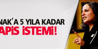 Kışanak'a Hapis İstemi