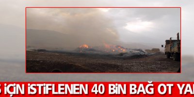 Yüksekova'da 40 bin bağ ot yandı