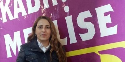 HDP'de Hülya Avşar heyecanı