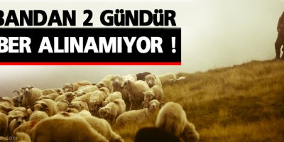 Çobandan 2 gündür haber alınamıyor