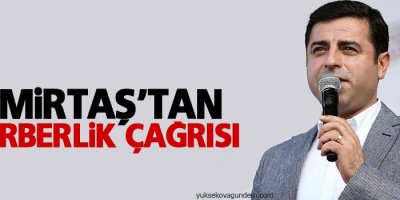 Demirtaş'tan seferberlik çağrısı