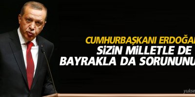Cumhurbaşkanı Erdoğan: Sizin milletle de bayrakla da sorununuz var