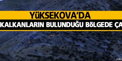 Yüksekova'da canlı kalkanların bulunduğu bölge'de çatışma